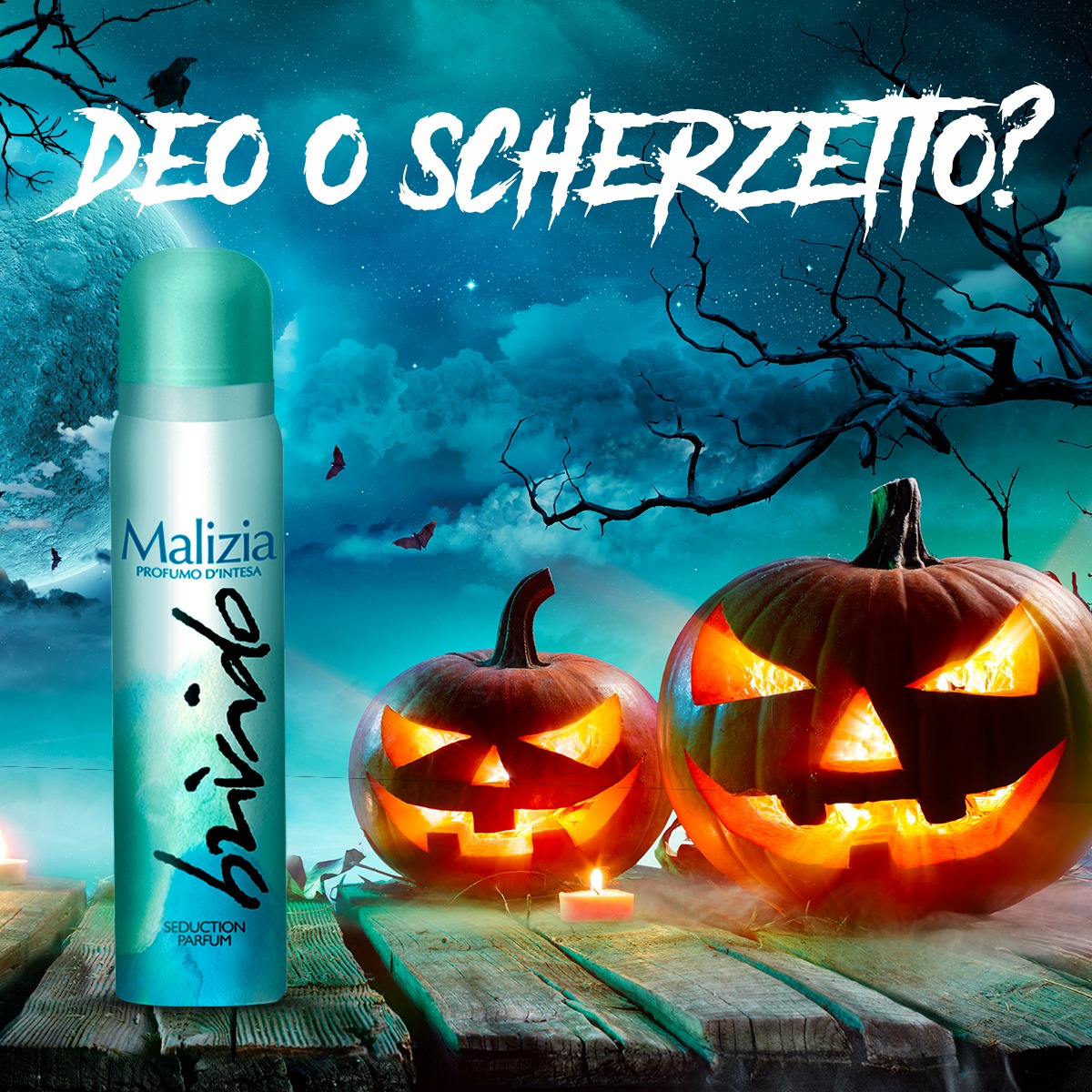 243698012_1213029392527996_1407302802085108280_n