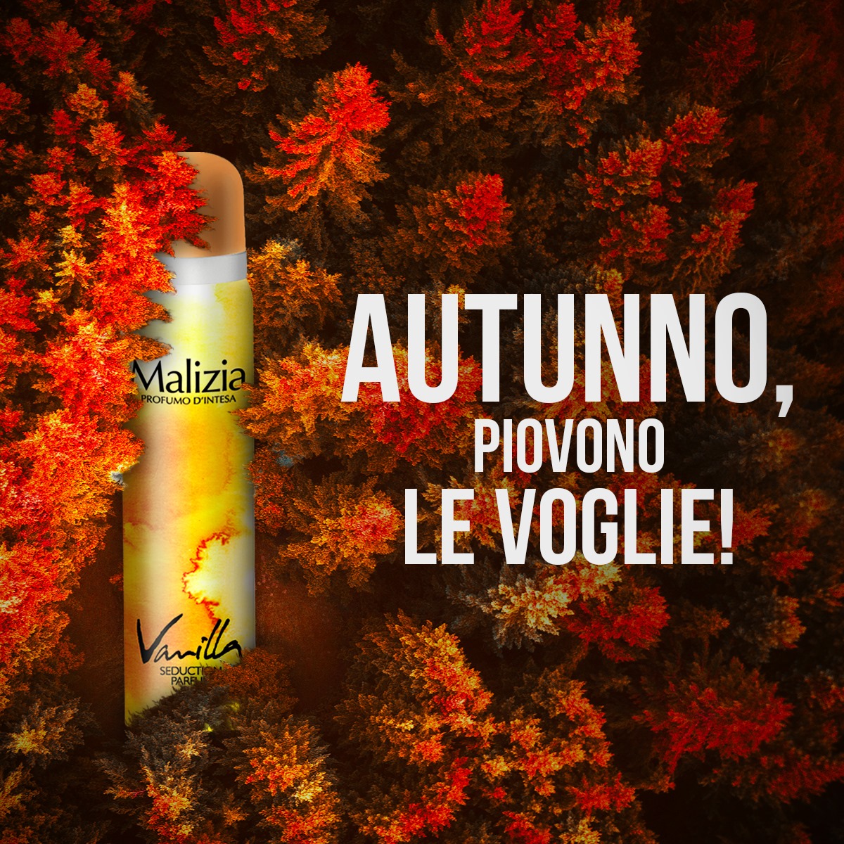 243720348_1213028899194712_6766456446493558215_n