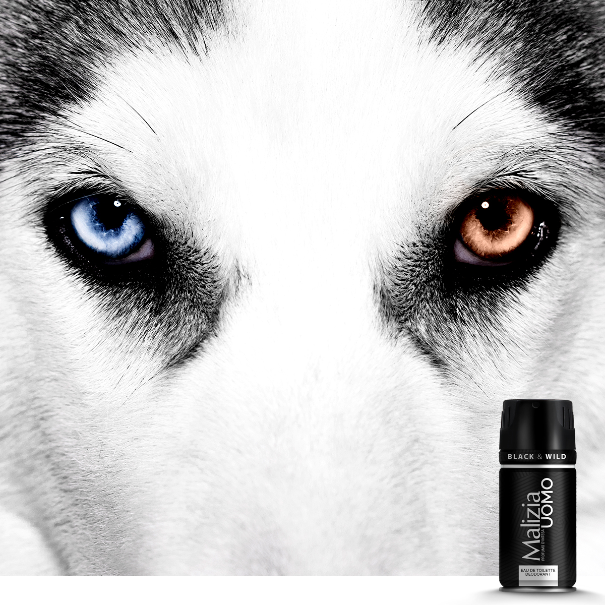 272331869_1288561061641495_4057838545117541437_n