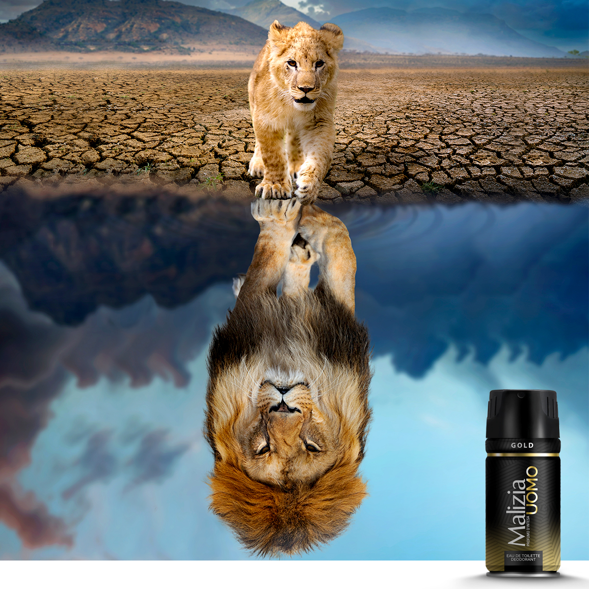 275015843_1309380116226256_4281024866968182811_n